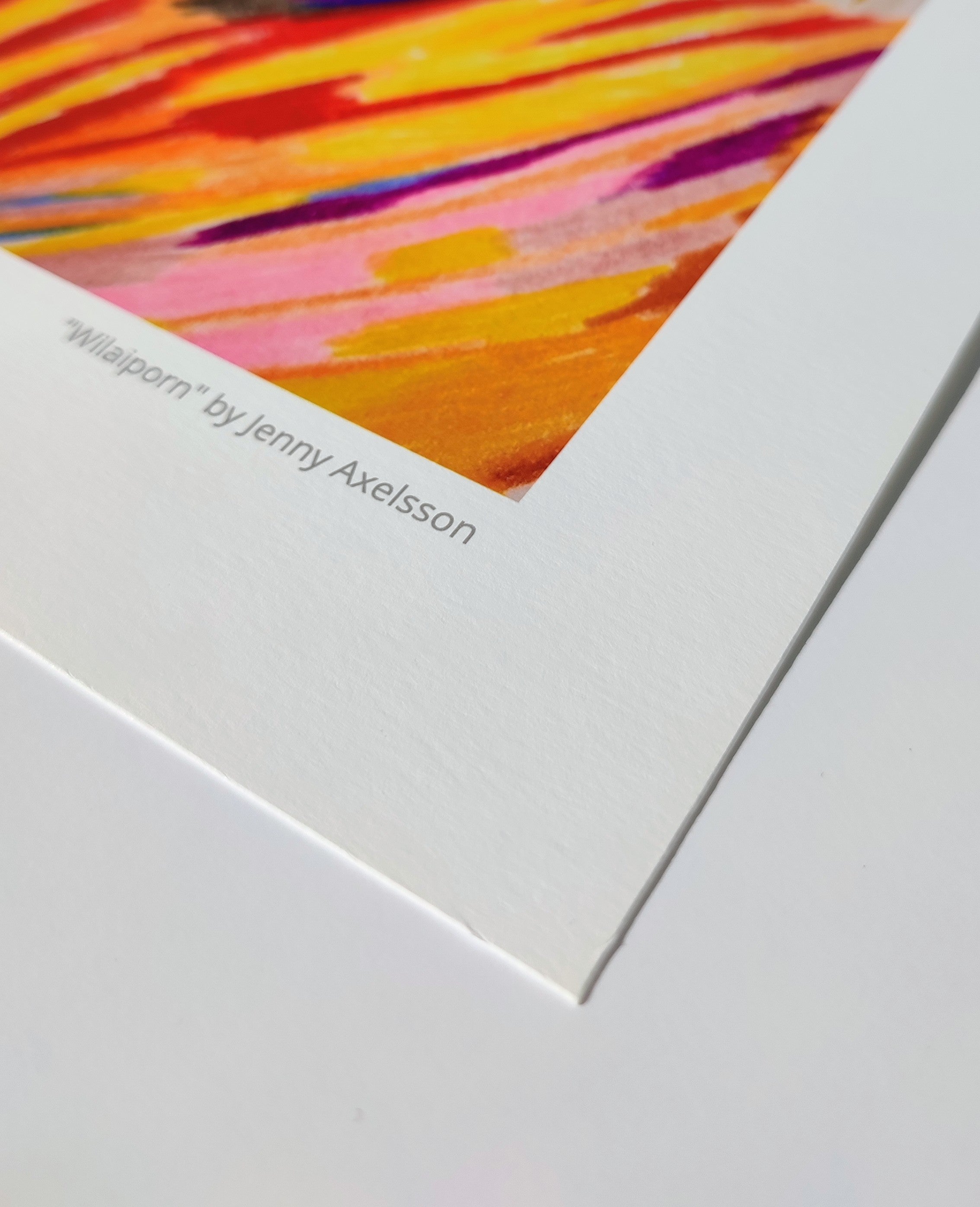 “A bird’s eye view” Print